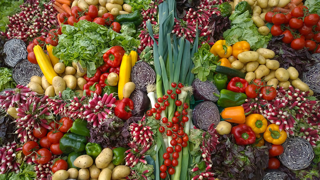 A variety of vegetables