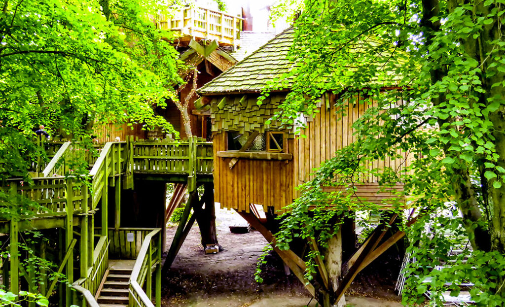 A tree house